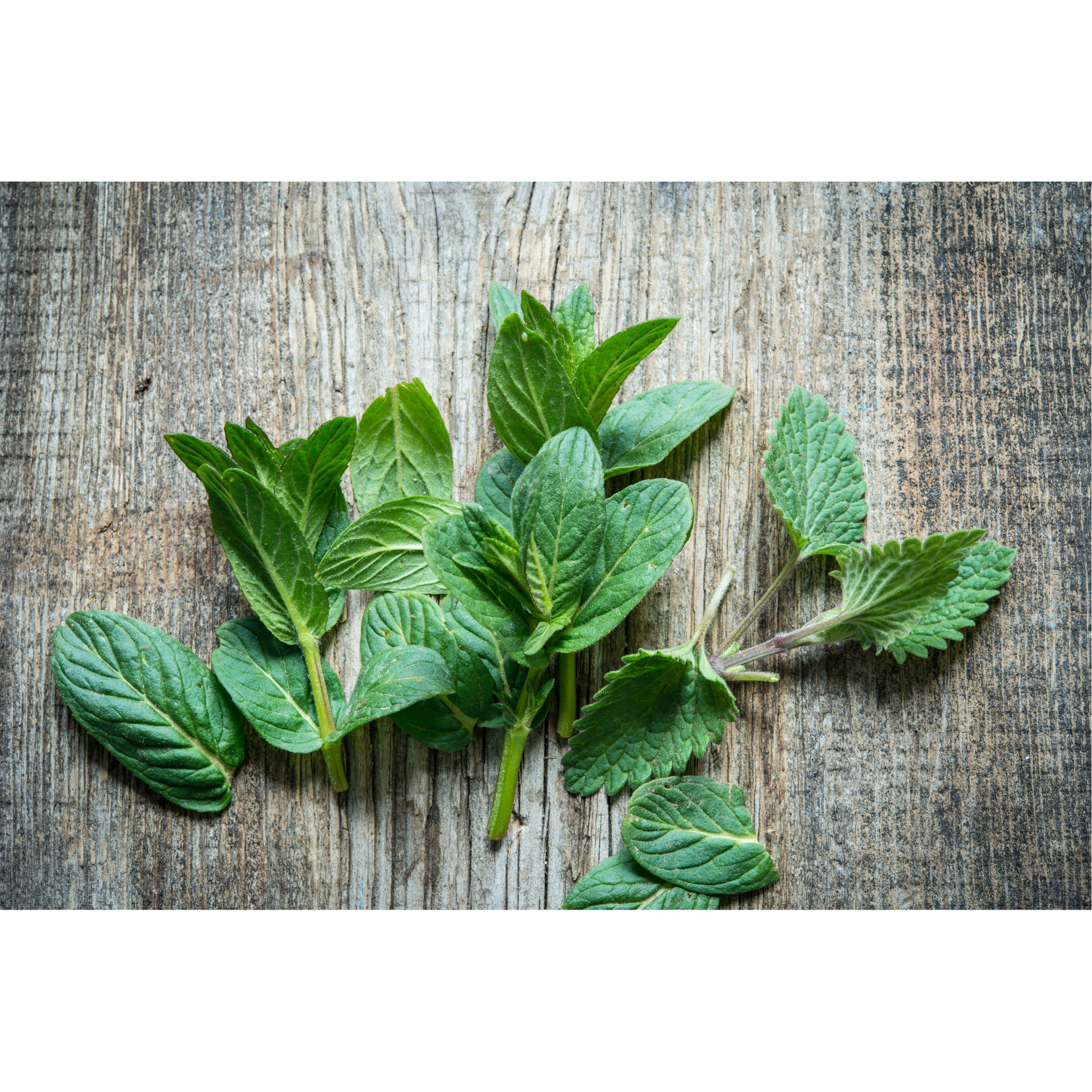 parfum agréable fruité huile crins cheval